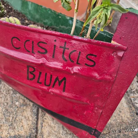 Casita Blum *